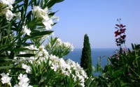 世界田径训练营科研成果转化投资对接会举行，世界田径强国