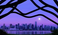 世界拳击职业巡回赛选手体重管理成焦点，世界拳击理事会重量级拳王